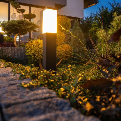 Landscape Lighting: The Most Overlooked Outdoor Upgrade in Dallas