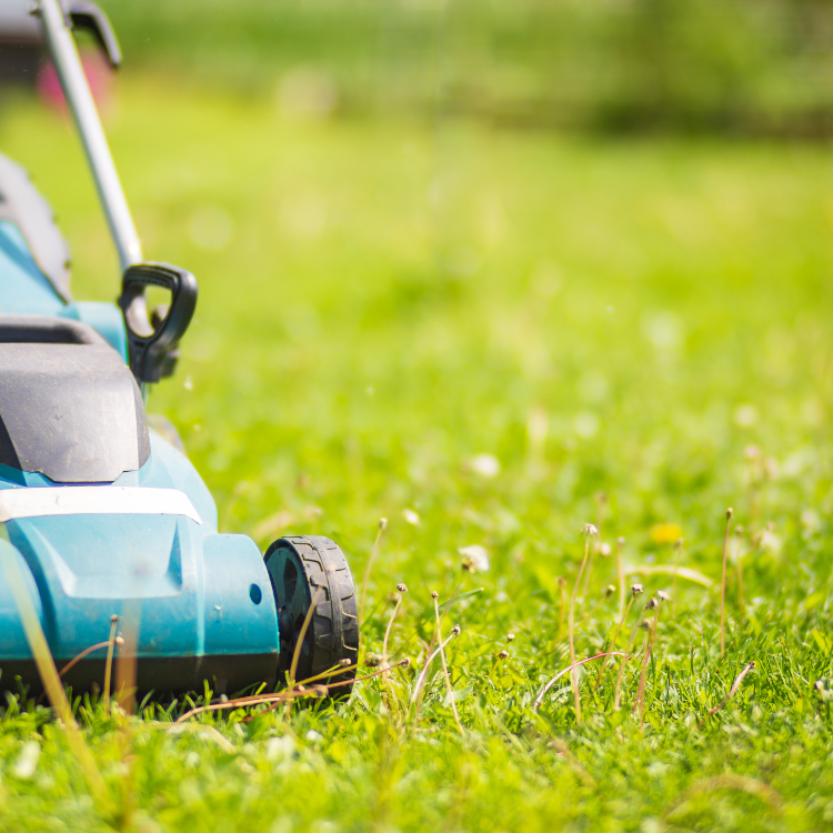 The Power of Curb Appeal: How Landscaping Adds Real Value to Your Home