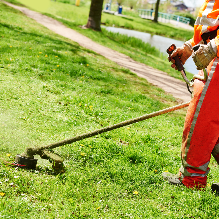Seasonal Lawn Care Tips for Dallas Homeowners